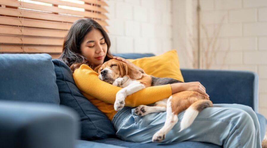 10 nomes para cachorros tranquilos 