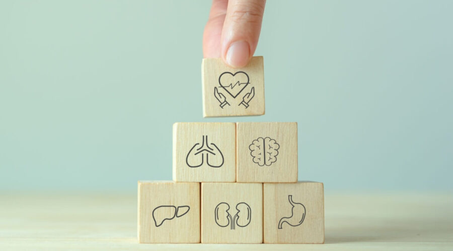 5 mitos e verdades sobre doação de órgãos que você precisa saber