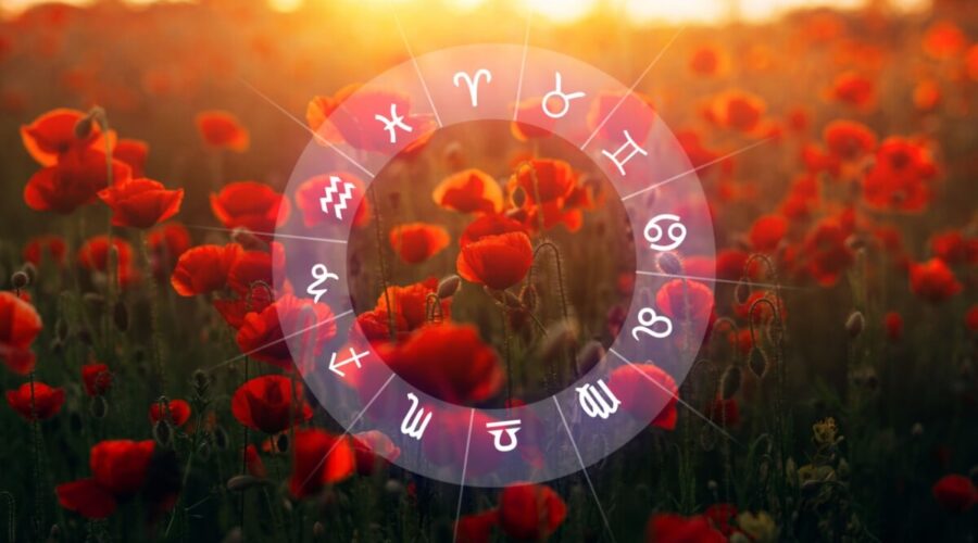 Veja como cada signo pode aproveitar o equinócio de primavera