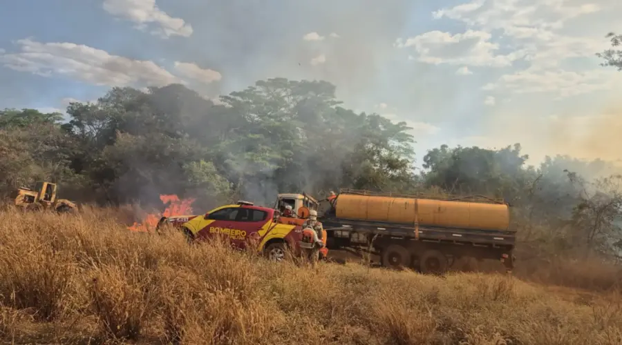 Incêndio em vegetação mobiliza bombeiros de Goianésia