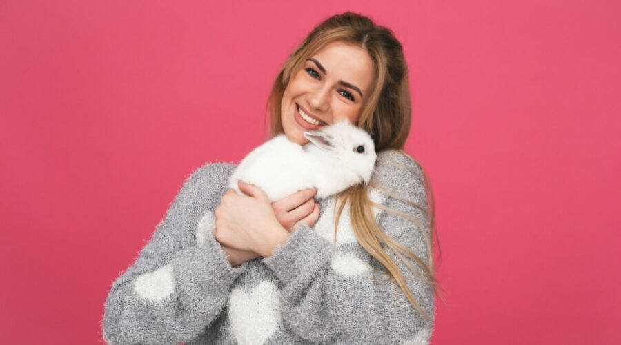 7 cuidados com coelhos de estimação