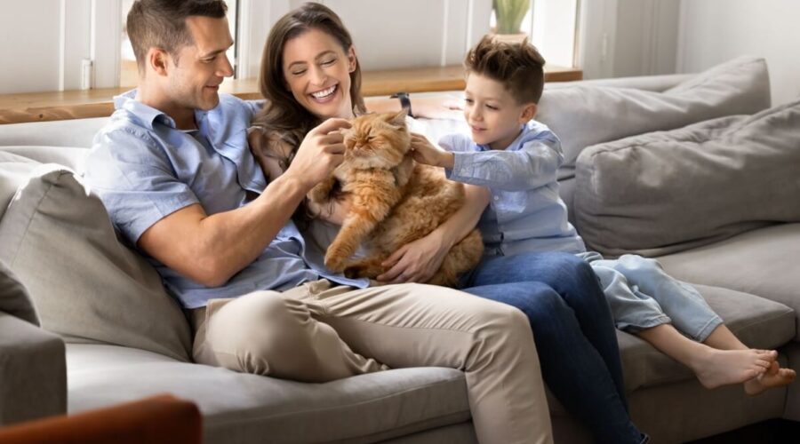 12 nomes perfeitos para gatos carinhosos 