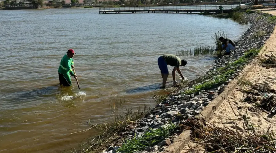 Mutirão no Parque da Lagoa Princesa do Vale nesta sexta