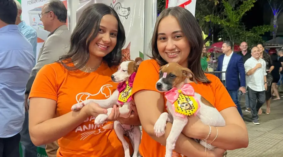 Feira de adoção de animais neste sábado na Praça do Granville