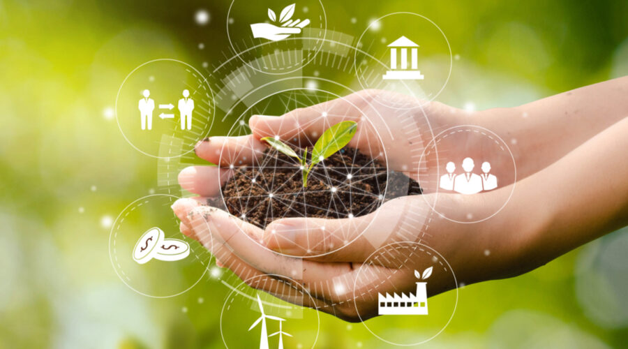 Veja os temas de ecologia mais cobrados nos vestibulares