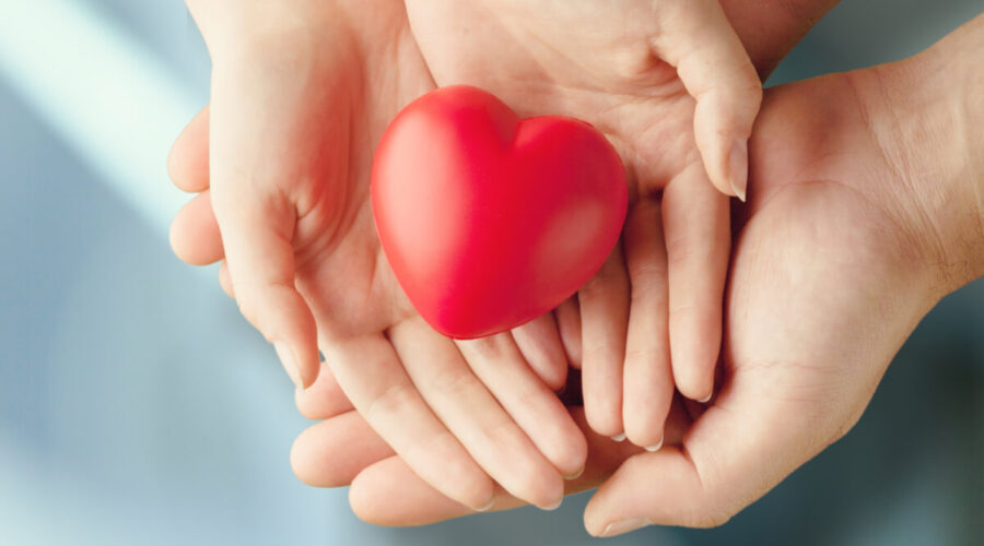 Entenda a importância da doação de medula óssea