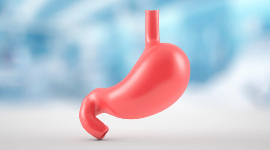 Veja como a alimentação pode atuar contra o câncer de estômago