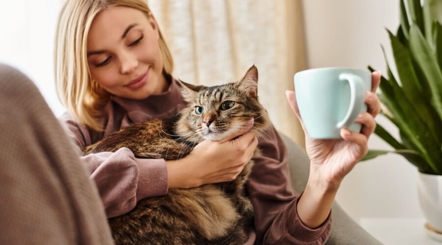 10 nomes ideais para gatos carinhosos 