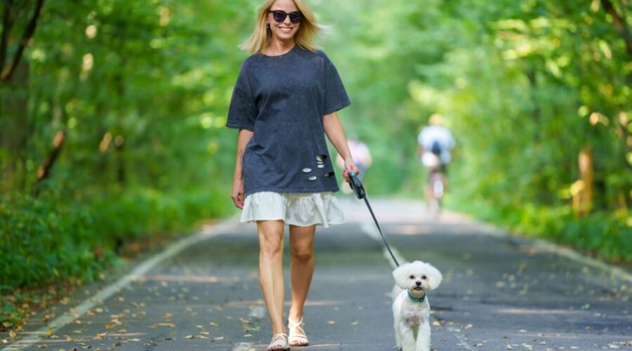 10 plantas tóxicas para animais comuns em jardins e calçadas