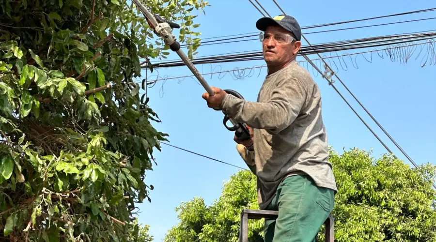 Contrate um podador credenciado da Secretaria de Meio Ambiente