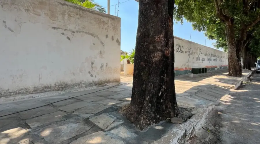Prefeitura de Goianésia prepara cemitério municipal para o Dia de Finados