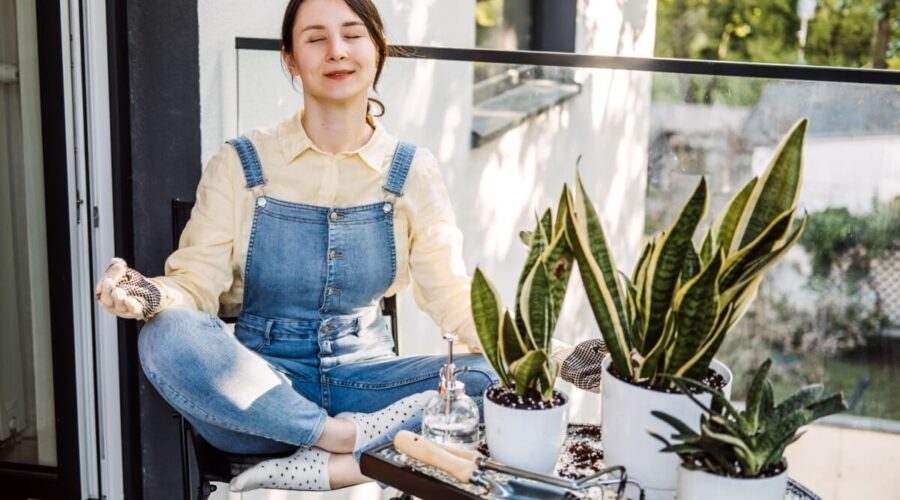 Aprenda simpatias e plantas para proteger o lar de energias negativas