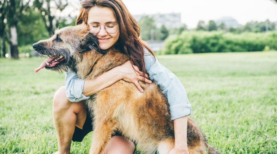 Veja como manter a saúde e o bem-estar dos animais idosos