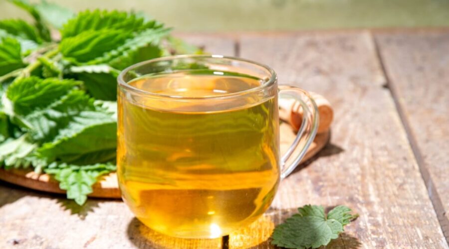 3 benefícios da urtiga para a saúde e formas de consumi-la