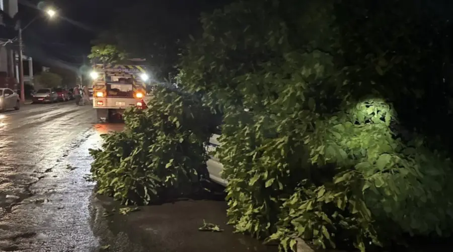 Fortes ventos derrubam árvore sobre dois veículos no Centro de Goianésia