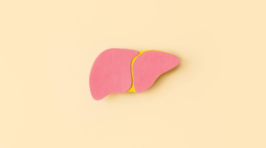 Entenda a relação entre obesidade e gordura no fígado