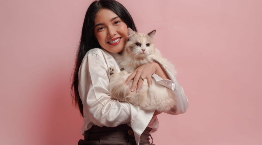 7 raças que gostam de companhia 