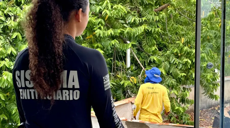 Reeducandos ajudam a revitalizar prédios públicos em ação conjunta da Prefeitura de Goianésia e Polícia Penal