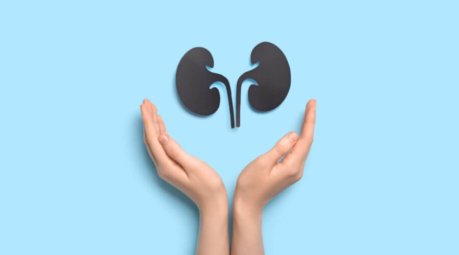 10 hábitos e exercícios para melhorar a saúde dos rins