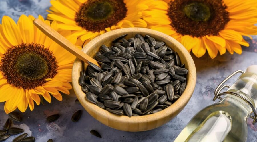 6 benefícios das sementes de girassol para a saúde e como usá-las