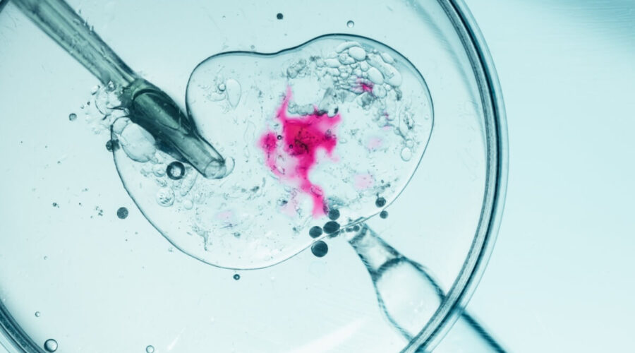 8 informações essenciais para entender o tratamento