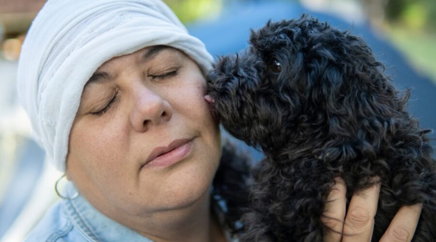 saiba como manter a convivência segura