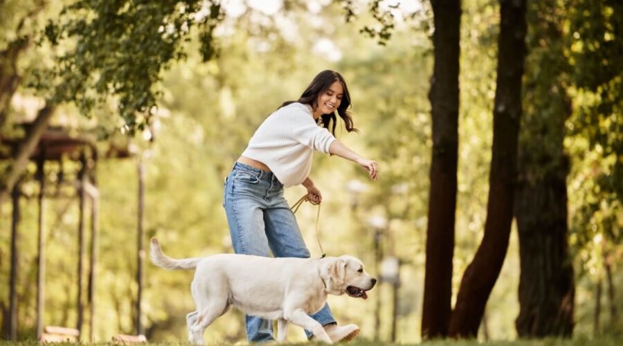 Como cuidar do pet com a rotina corrida: 7 dicas essenciais