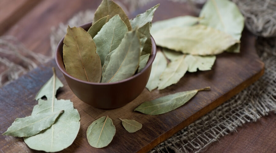 3 simpatias com folhas de louro para atrair prosperidade em 2026