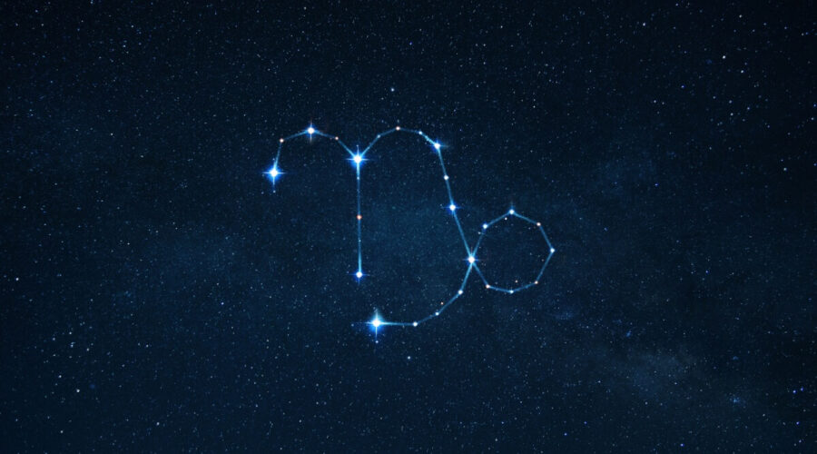 conheça as características do nativo