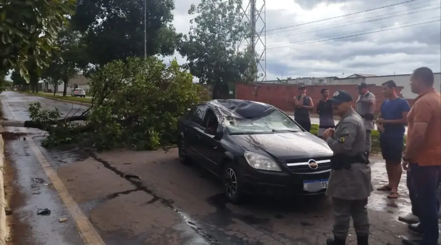 Árvore cai sobre carro e bombeiro de folga ajuda