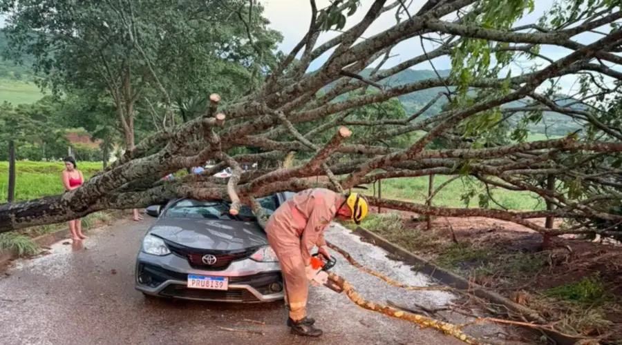 Ventos derrubam árvores e mobilizam Bombeiros em Goianésia