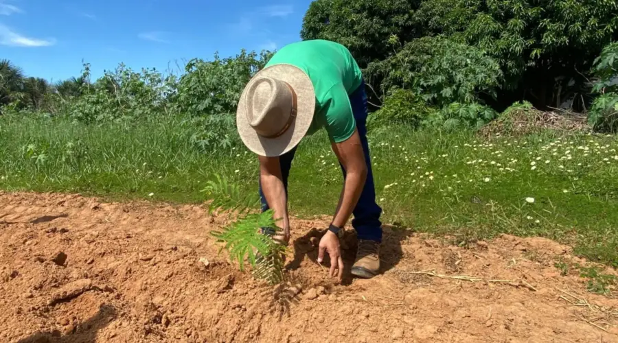 Virada Ambiental planta 500 mudas do Cerrado em Goianésia