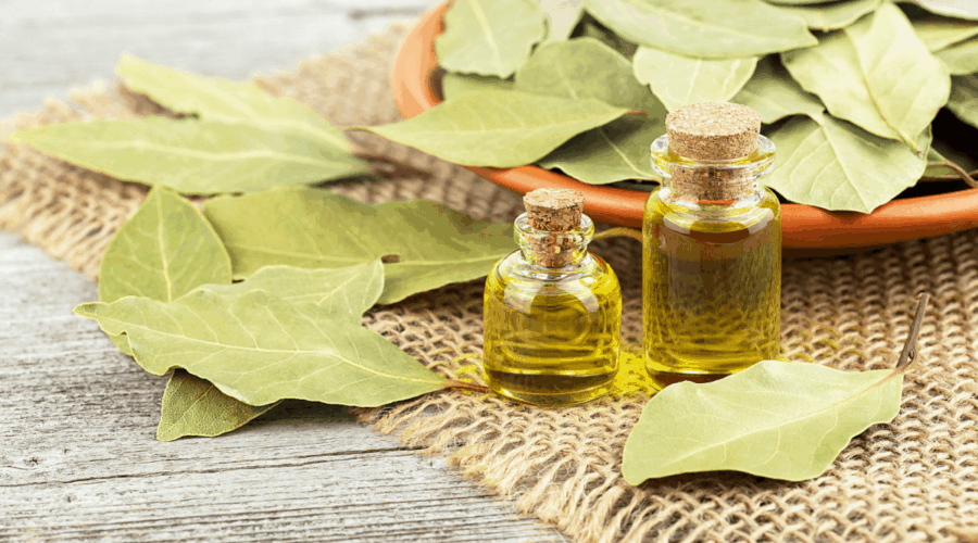 6 maneiras de melhorar a saúde com a planta