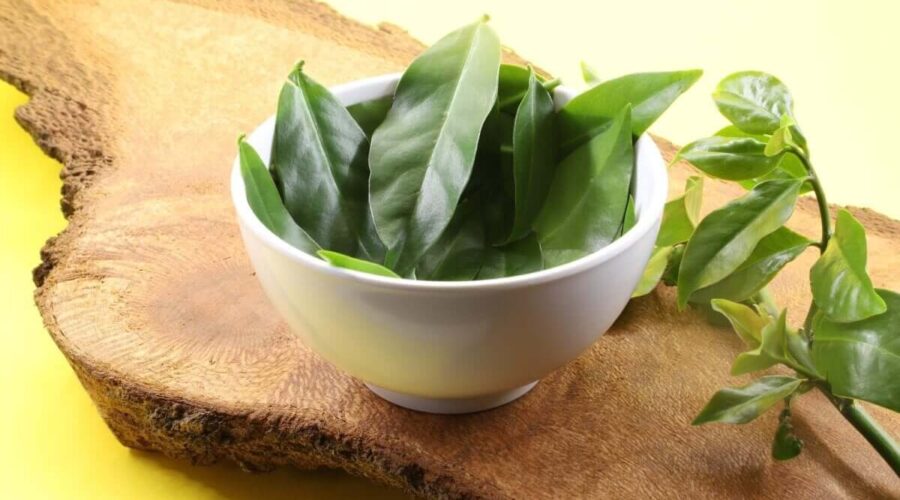 7 motivos para incluir a planta na alimentação