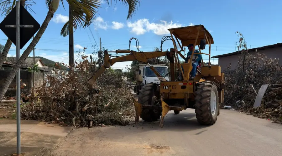 Limpeza urbana reduz dengue em Goianésia